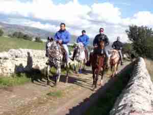 passeggiata a cavallo 2