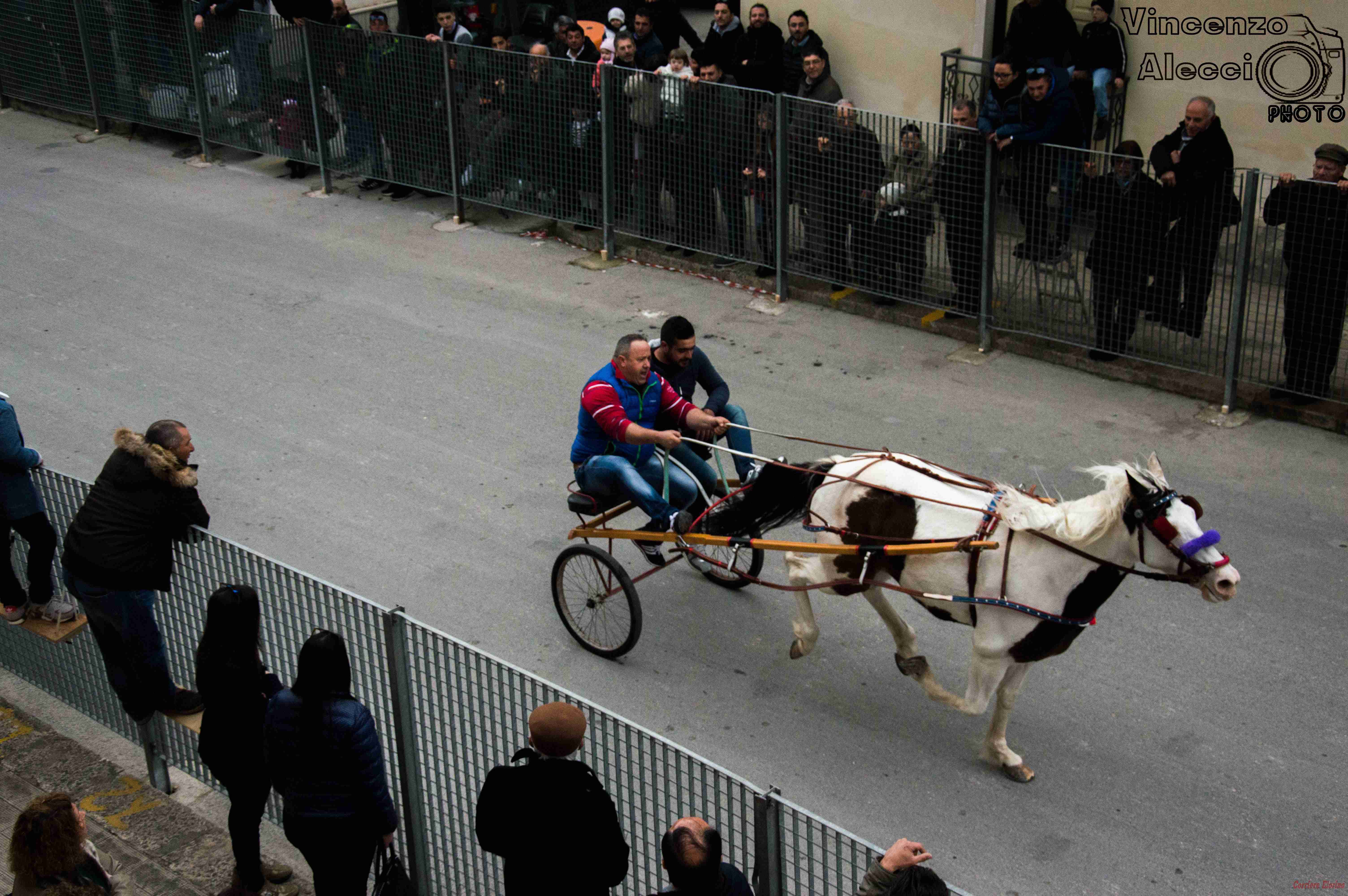 La “cavalcata di san Giuseppe” in onda su Video Regione e La2