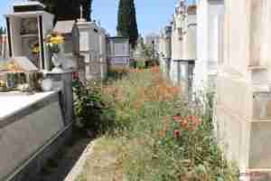 cimitero4