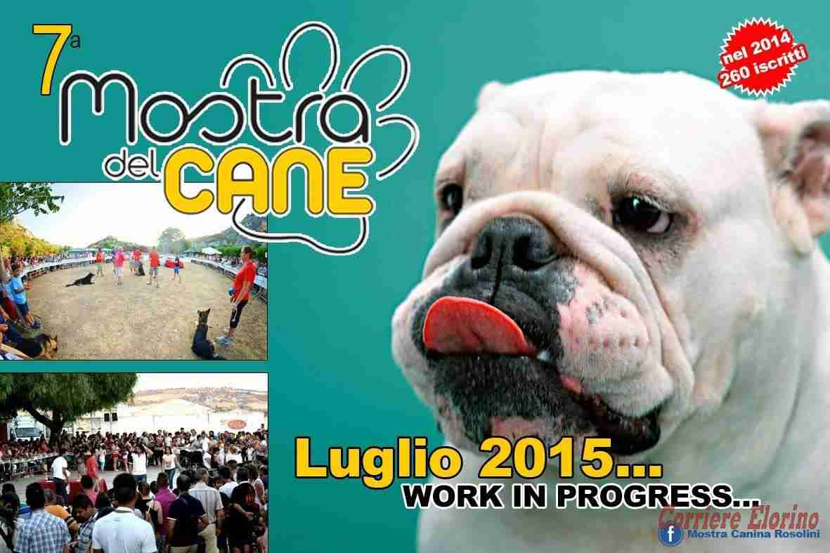 Settima edizione della “Mostra del cane”