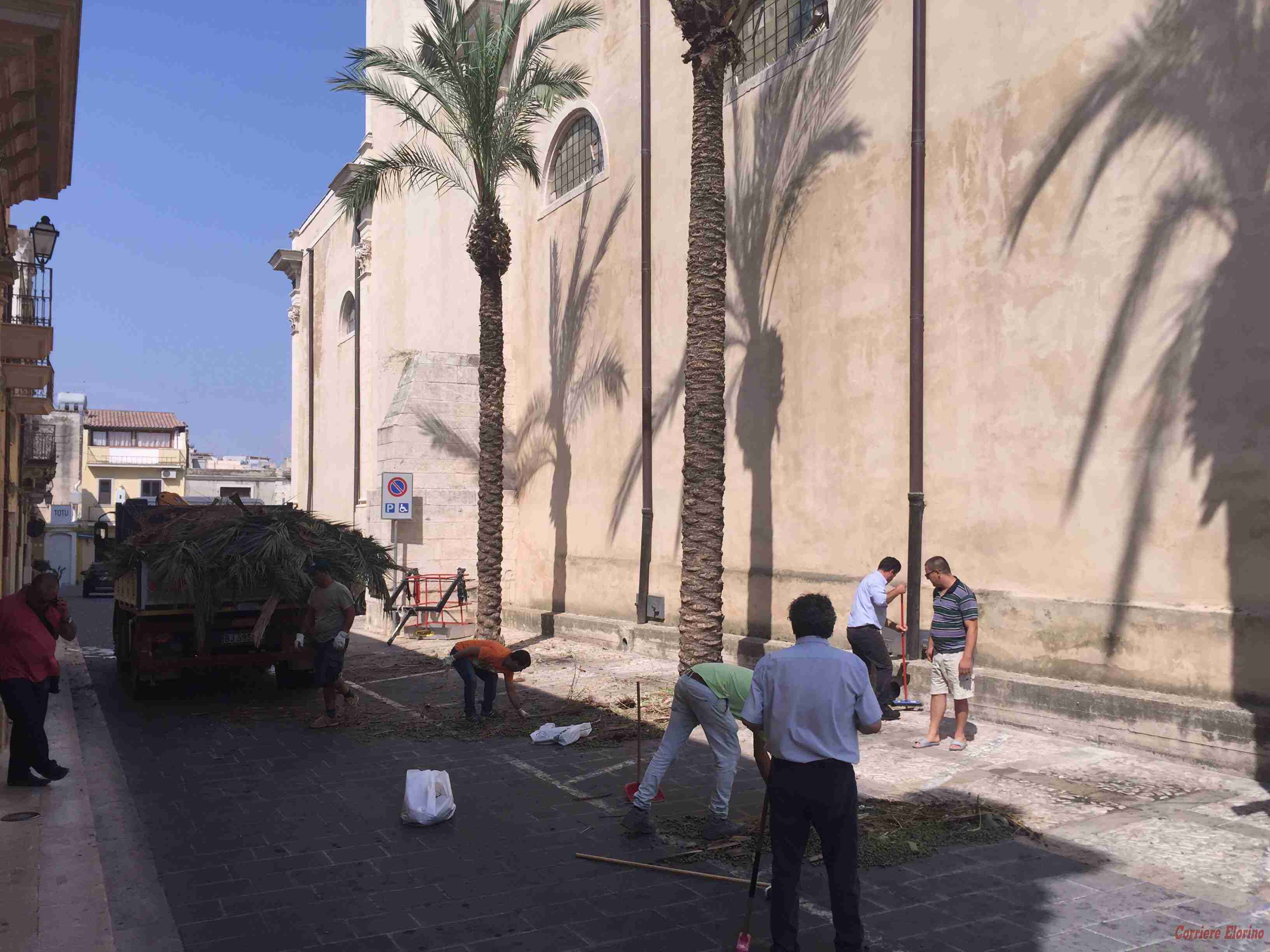 Il Movimento “Progresso e Libertà” ripulisce le palme all’angolo della chiesa Madre