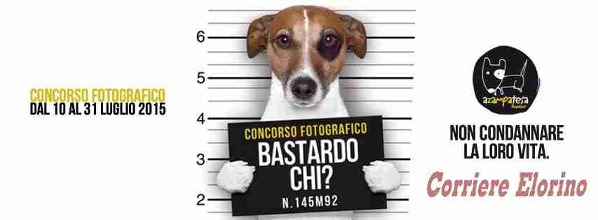 “Bastardo chi?”, il concorso fotografico contro l’abbandono degli animali