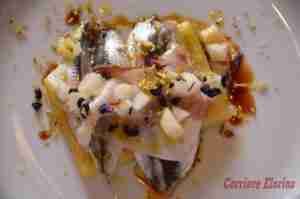 11995678_914931255210916_285949392_n