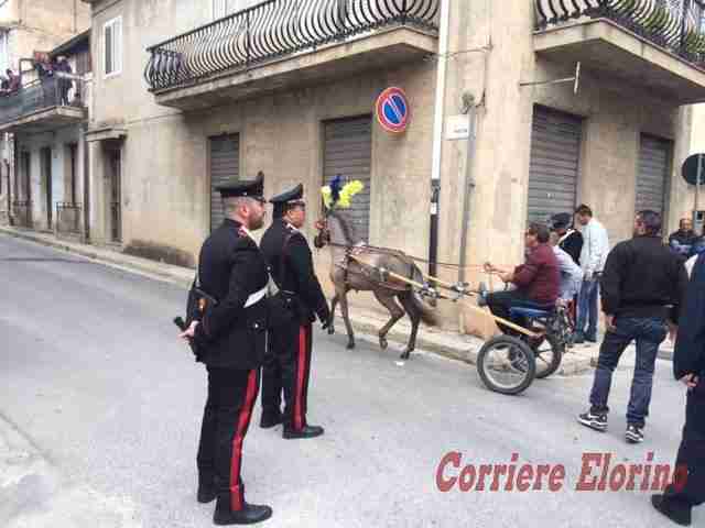 Cavalcata da San Giuseppe: 87 persone segnalate alla Procura dai Carabinieri