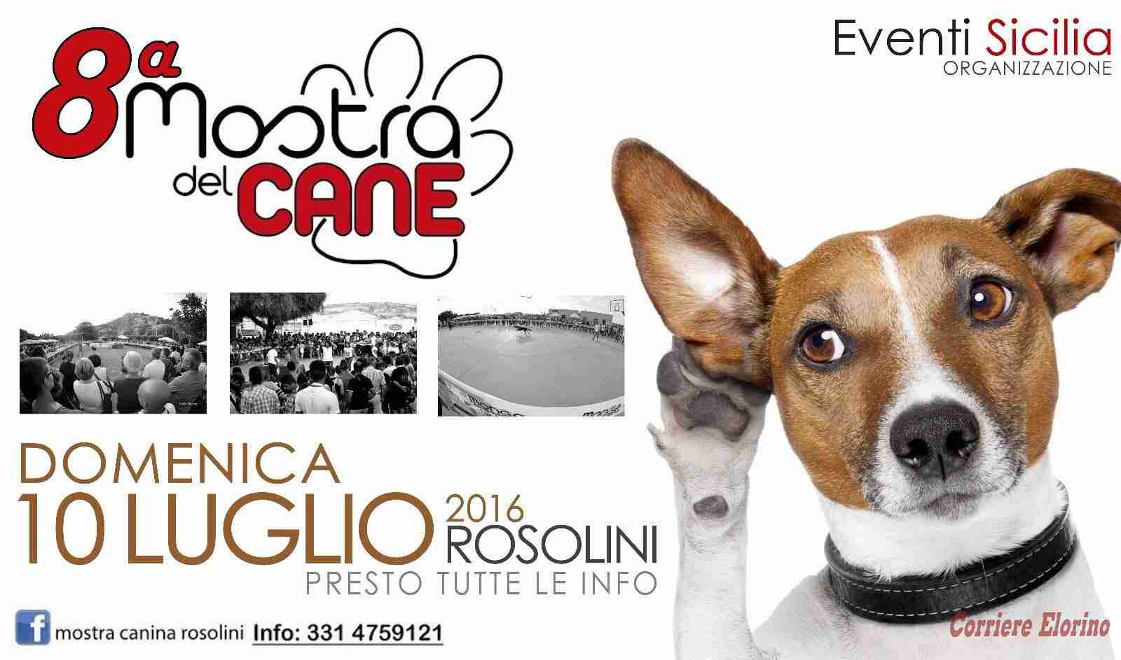 Torna domenica 10 luglio la “Mostra del Cane” a Rosolini