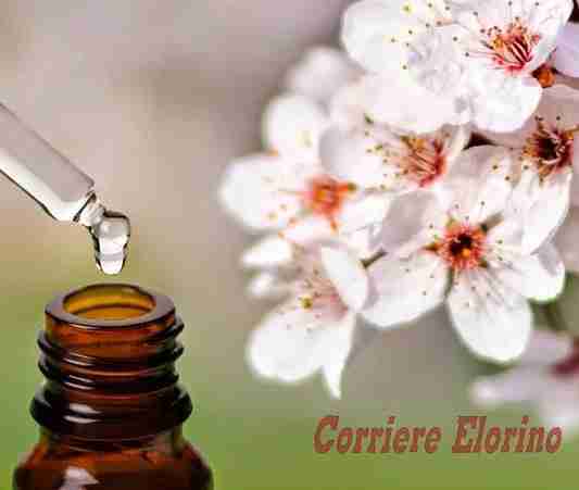 Cure naturali, conosciamo i Fiori di Bach