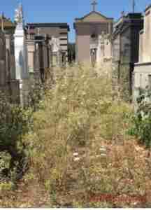 cimitero comunale