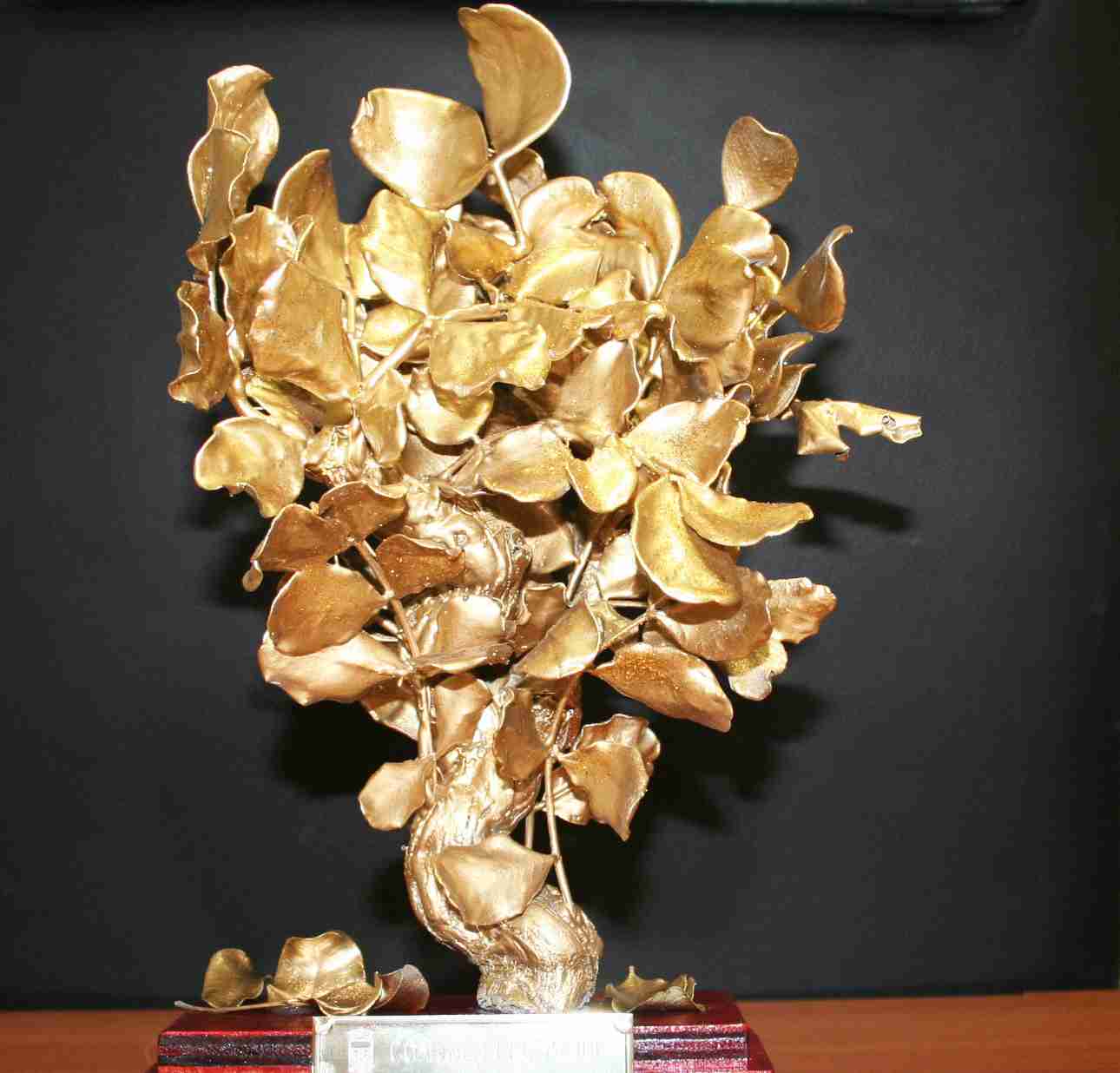 Il 6 agosto 2016 la cerimonia di consegna del Premio Rosolini “Il Carrubo d’Oro”