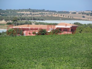 La cantina “Terre di Noto” immersa nelle vigne di contrada Burgio