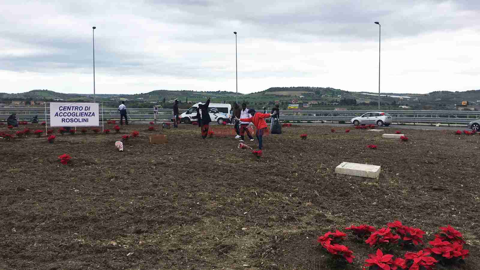 Dal centro di accoglienza di Rosolini 200 Stelle di Natale per abbellire la rotatoria all’ingresso della città