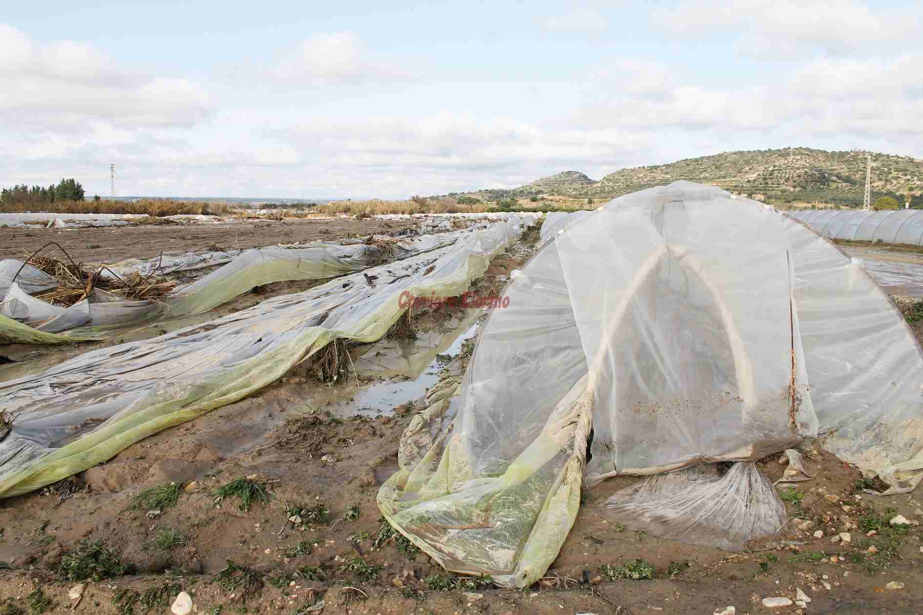 Esonda il fiume “Tellaro”: disastro nelle campagne tra Noto e Rosolini