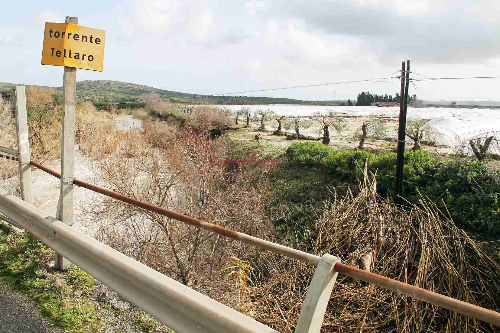 Vinciullo sui danni all’agricoltura: “Si dichiari lo stato di calamità naturale”