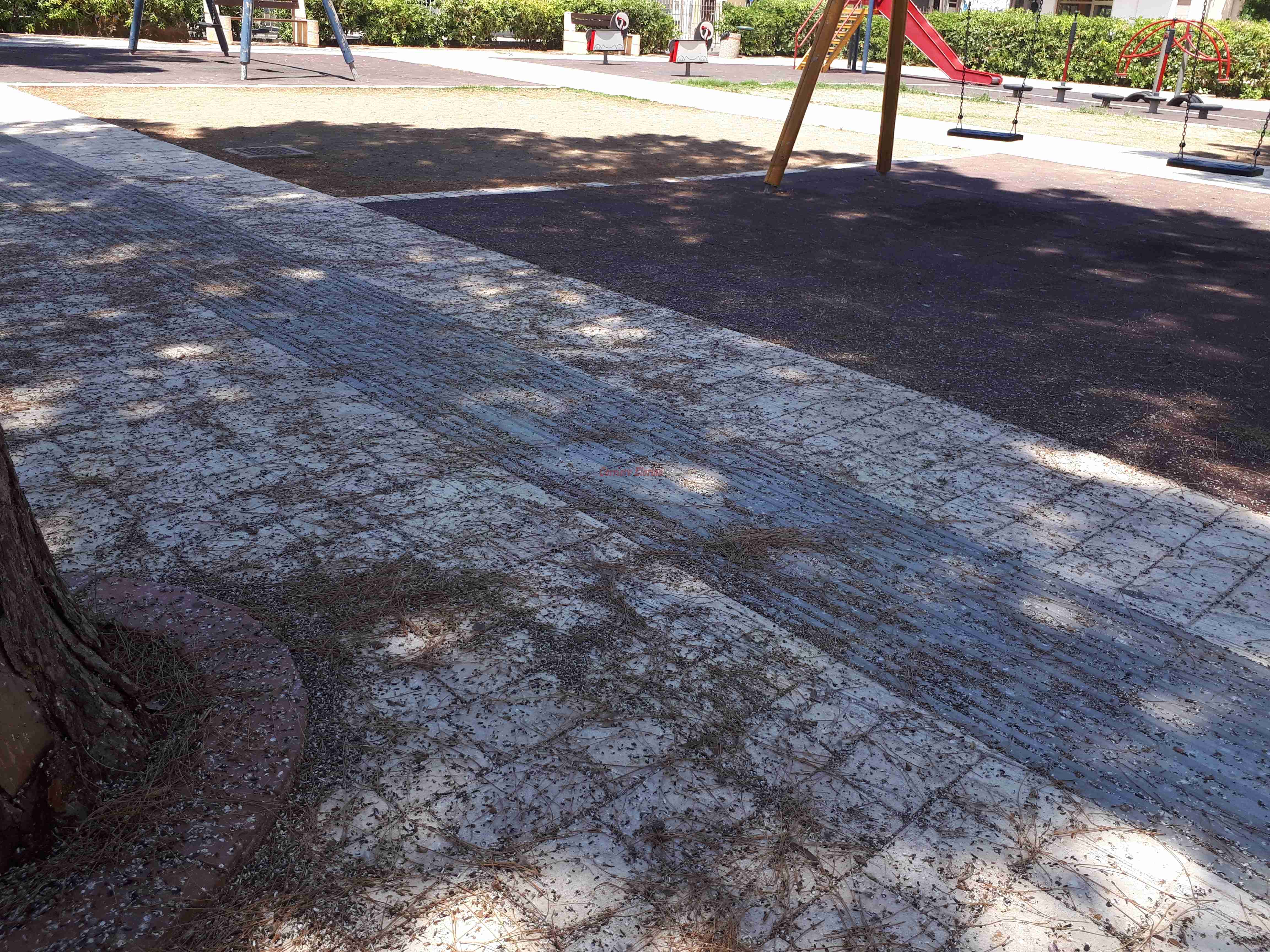 Piazza XXIV Maggio, parchi giochi pericolosi per i bambini, invasi da escrementi di piccioni