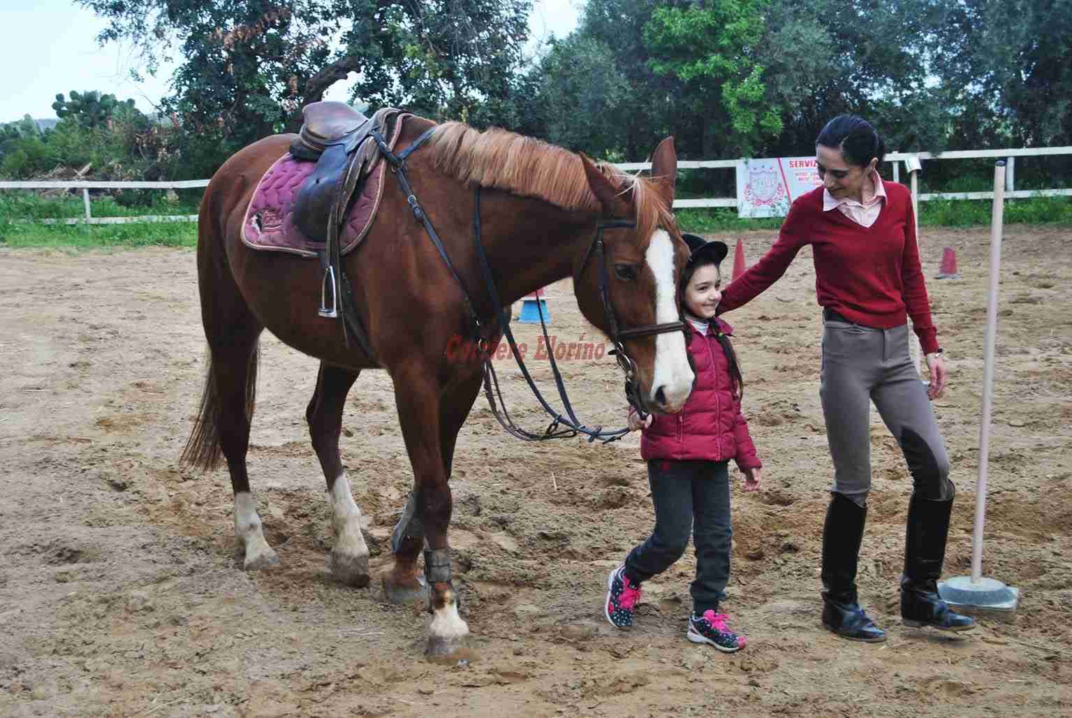 Equitazione integrata a “Il parco dei cavalieri”, un nuovo modo di vivere il cavallo