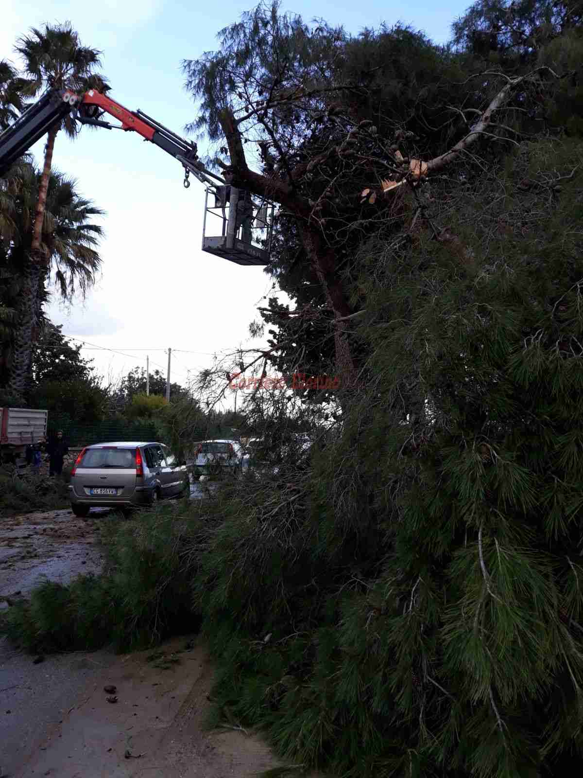 Protezione civile: eliminato albero pericoloso sulla strada provinciale “Rosolini-Modica”