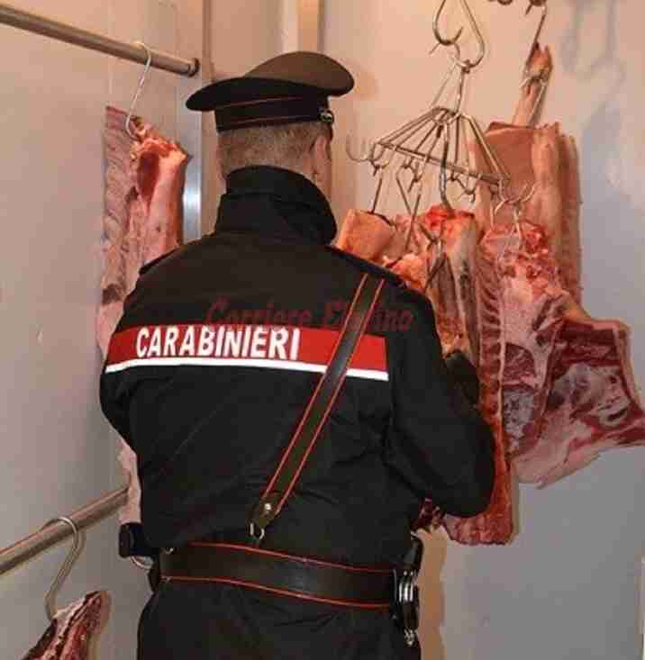 Tentano di rubare e macellare abusivamente degli ovini, intervengono i Carabinieri