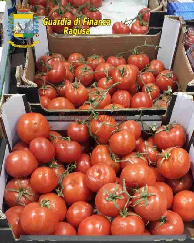 Pomodori dell’Albania veduti con il marchio “Made in Sicily”: la Guardia di Finanza di Ragusa scopre la frode