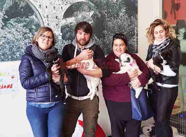 “Per Natale fatti un regalo, adotta un cane”, iniziativa al centro commerciale Spadola