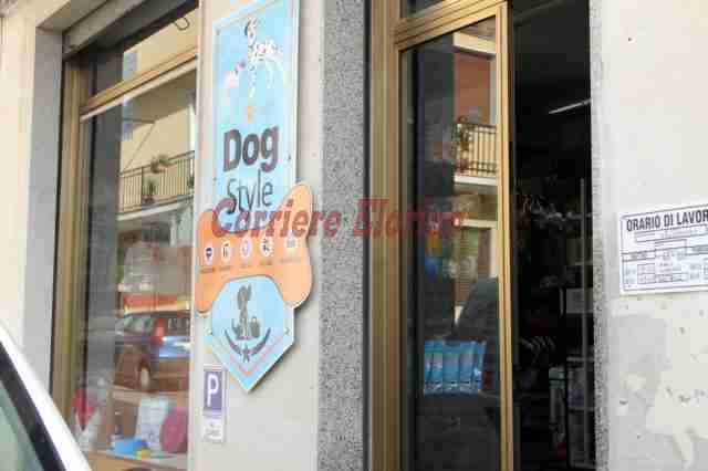 Furto in pieno giorno alla “Dog Style”, i ladri portano via la cassa e le crocchette per cani