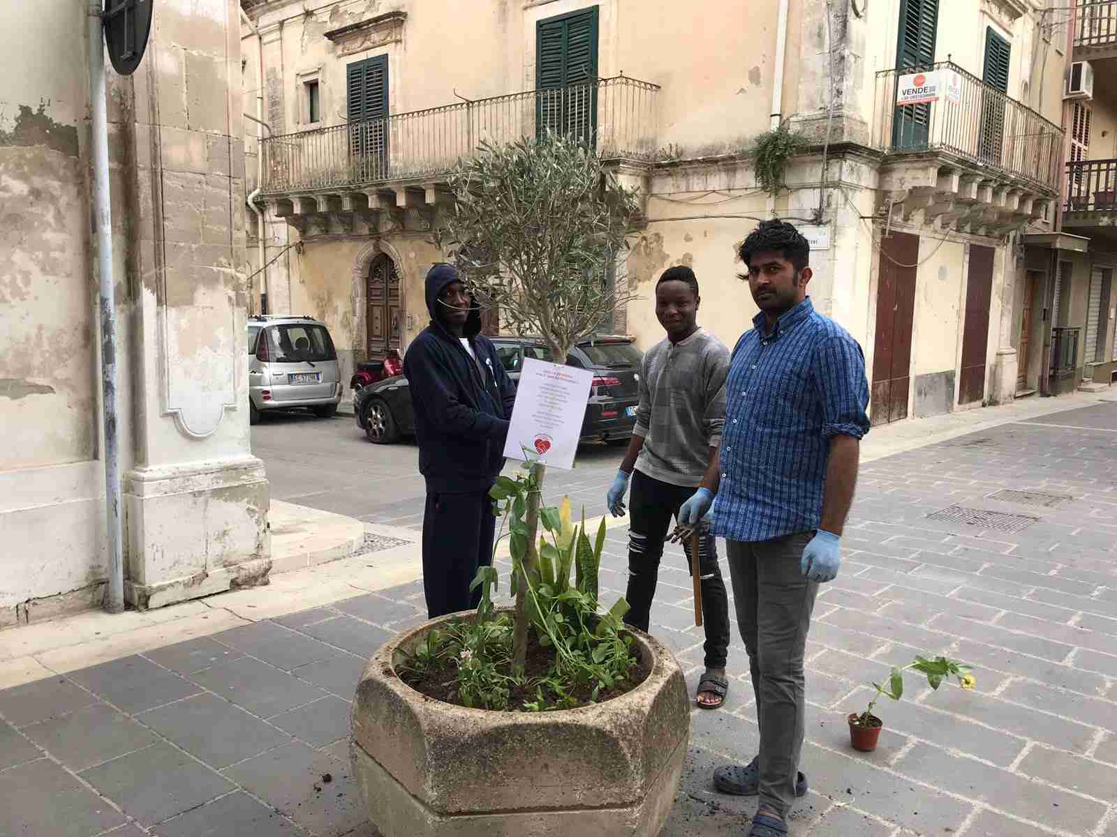 Le fioriere “non sono pattumiere”: scuola e centro d’accoglienza le abbelliscono con delle piantine