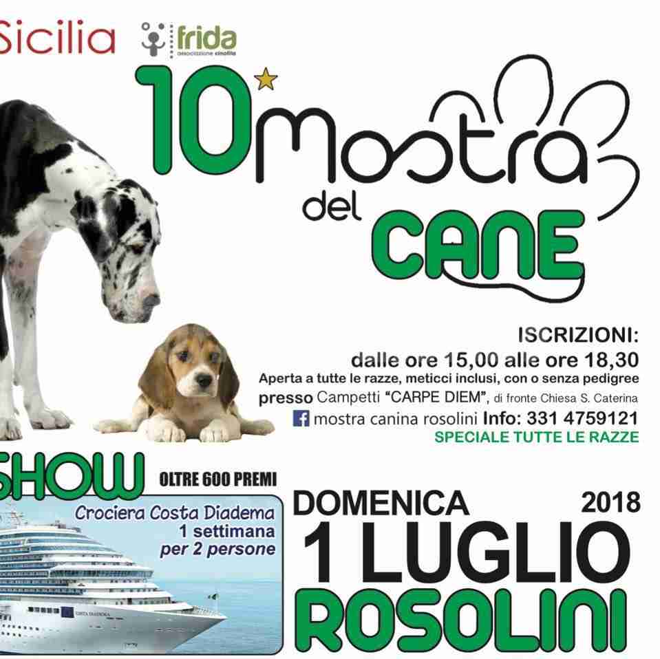 Domenica 1 Luglio al via la 10^ Mostra del Cane a Rosolini