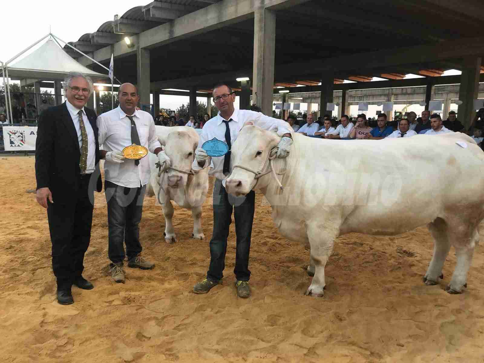 Successo per l’allevatore Gioacchino Agosta alla “Fam.Mac”