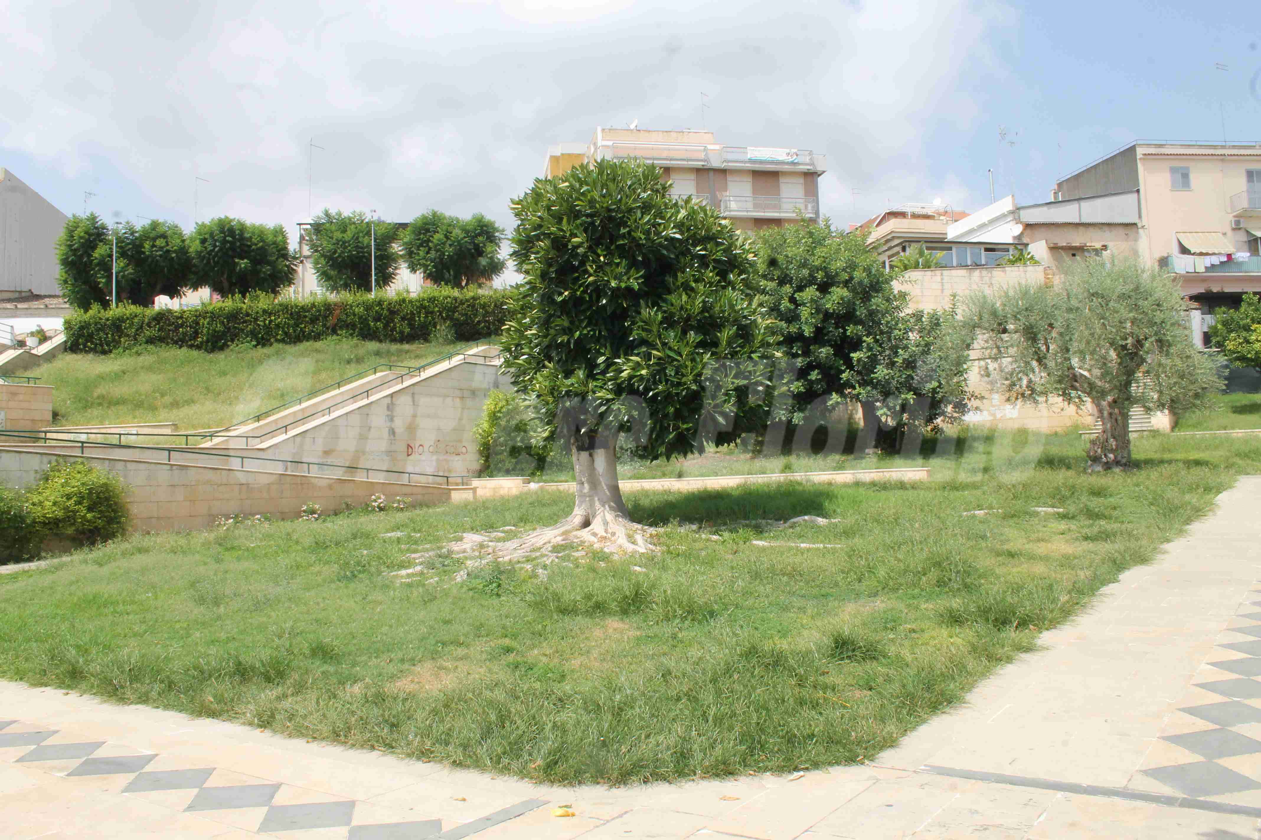 Il verde del Parco Giovanni Paolo II abbandonato a se stesso