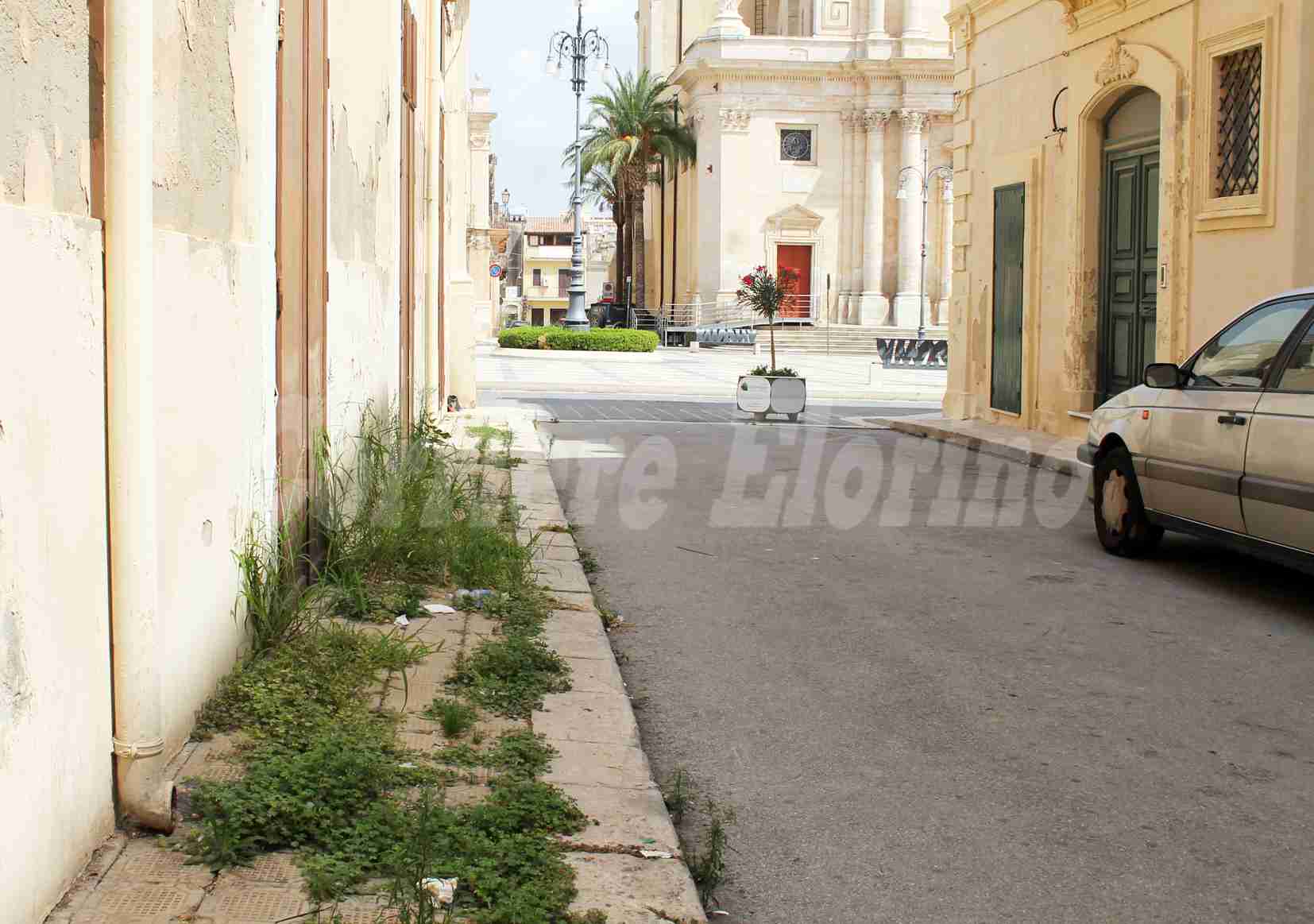 Via Calafarina, marciapiede invaso dalle erbacce a due passi da piazza Garibaldi