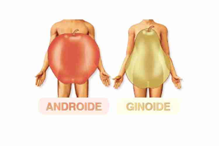 Obesità ginoide o androide: tu che biotipo sei?