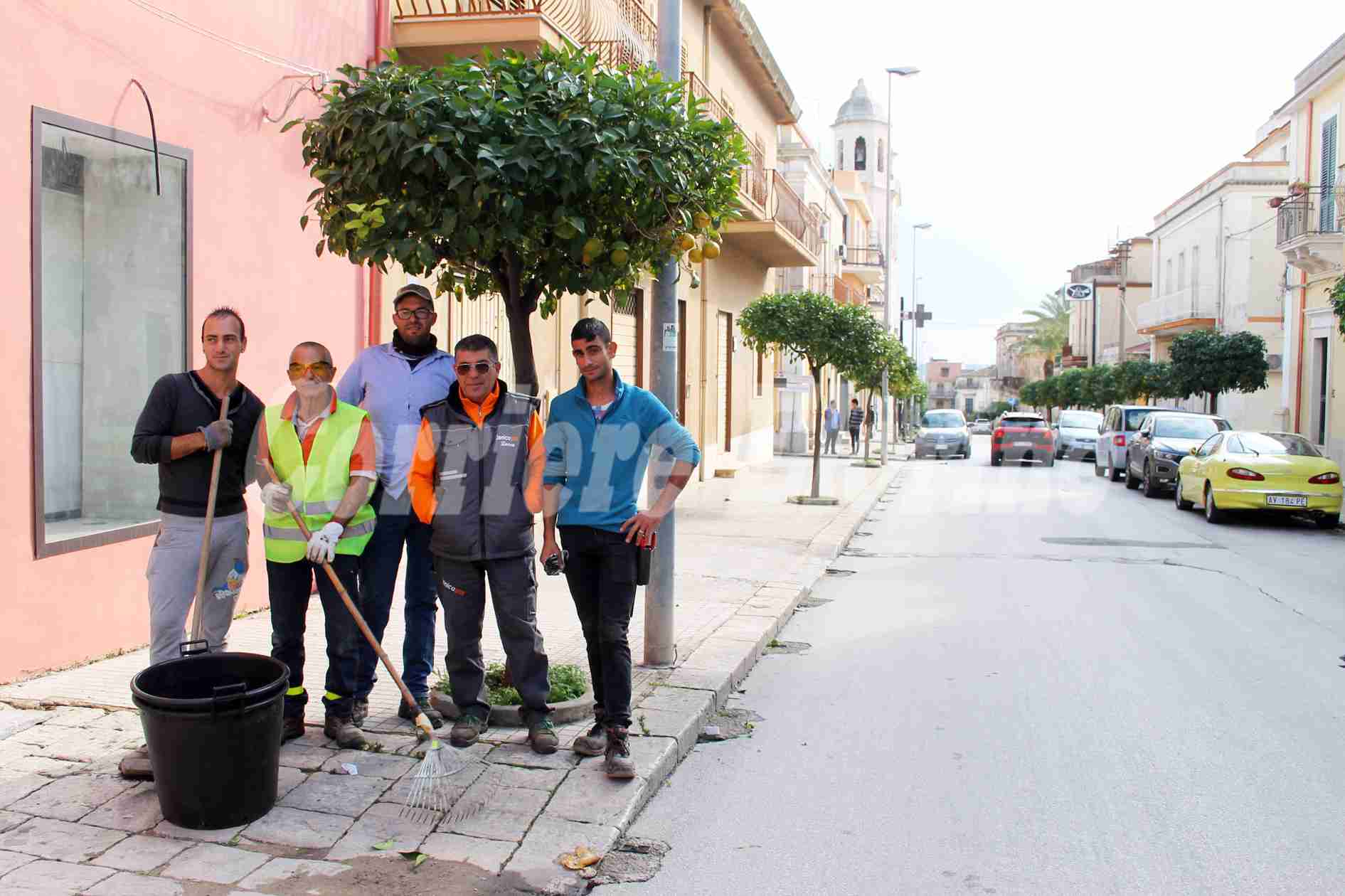 Sinergia tra privati e Città Verde: sistemati gli alberi di via Sipione
