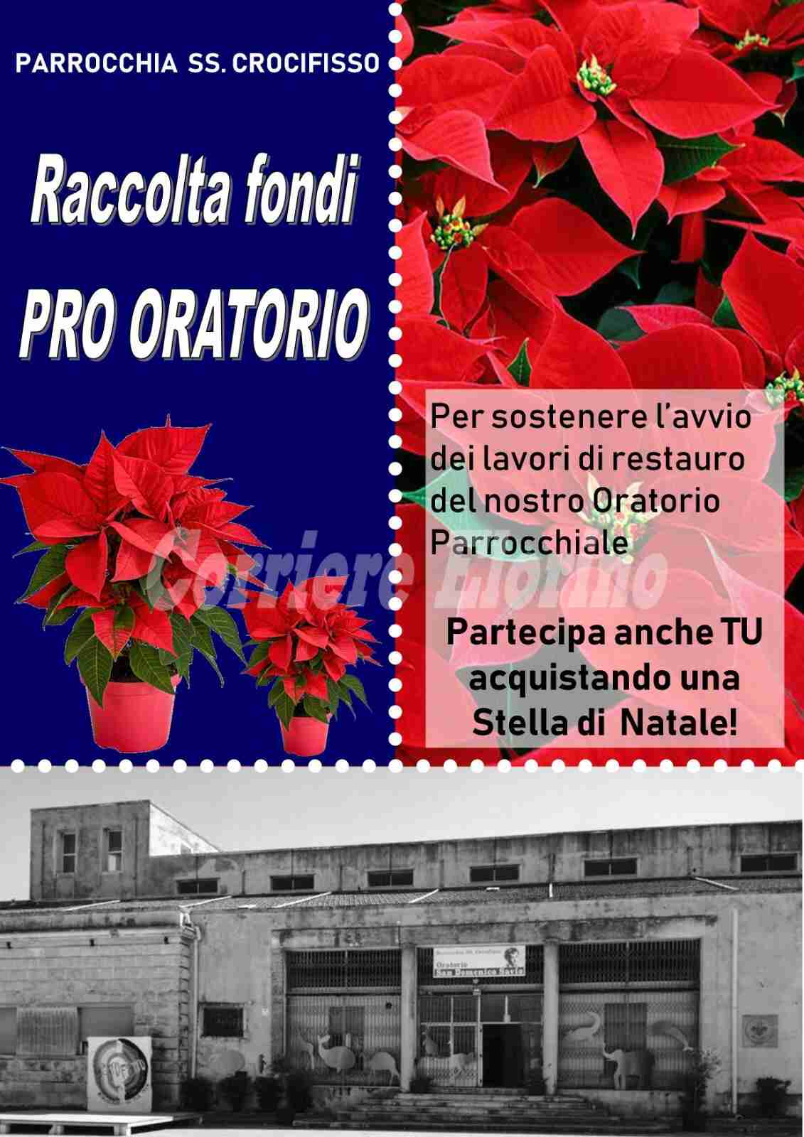 Raccolta fondi: una stella di Natale per il restauro del S.Domenico Savio