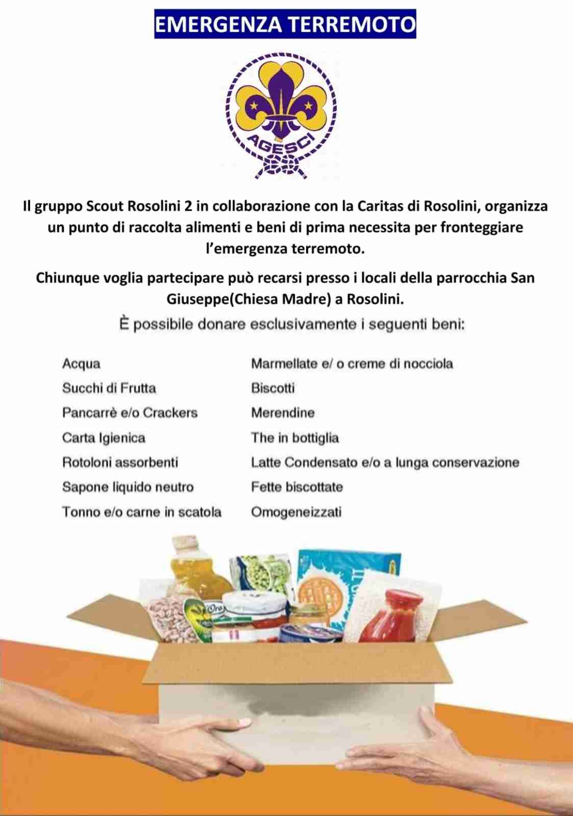 Emergenza terremoto a Catania, Scout e Caritas organizzano raccolta di generi alimentari