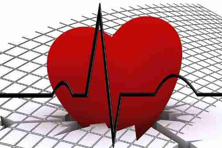 Colesterolo e patologia cardiovascolare: ecco le ultime novità!