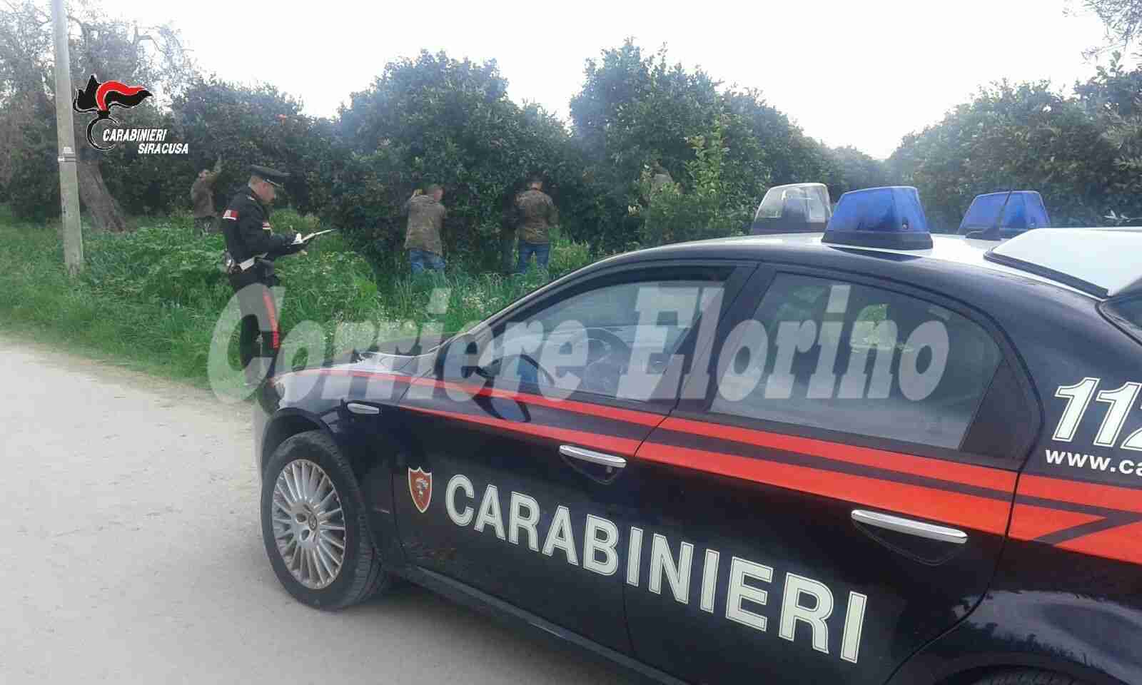 Lavoro nero, controlli in Provincia, 5 attività sospese