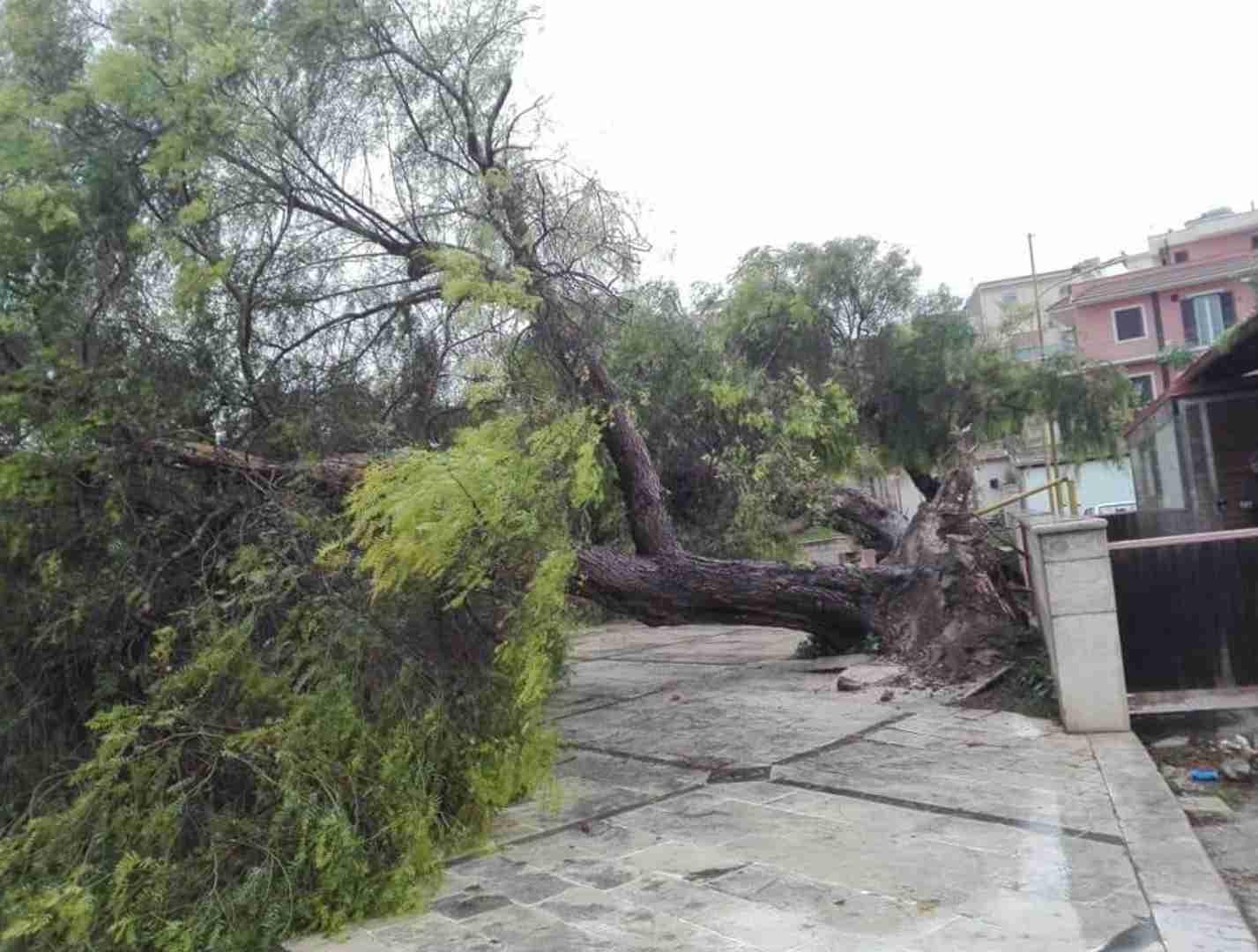 Forti raffiche di vento, alberi sradicati al parco Giovanni Paolo II