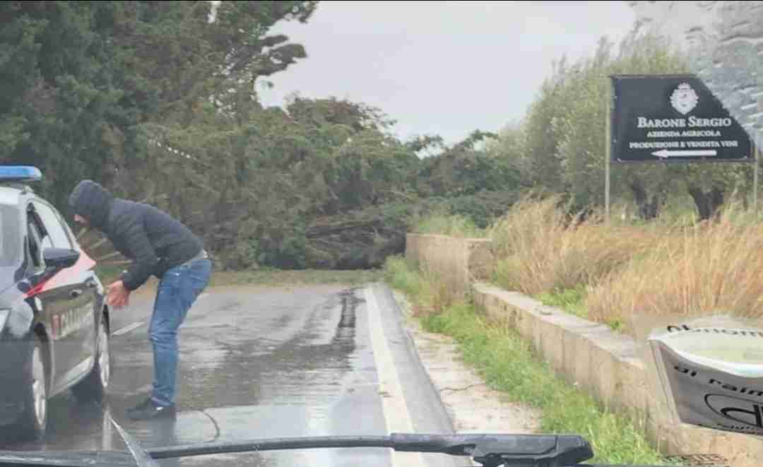 Allerta meteo, Rosolini-Pachino chiusa al transito per crollo alberi