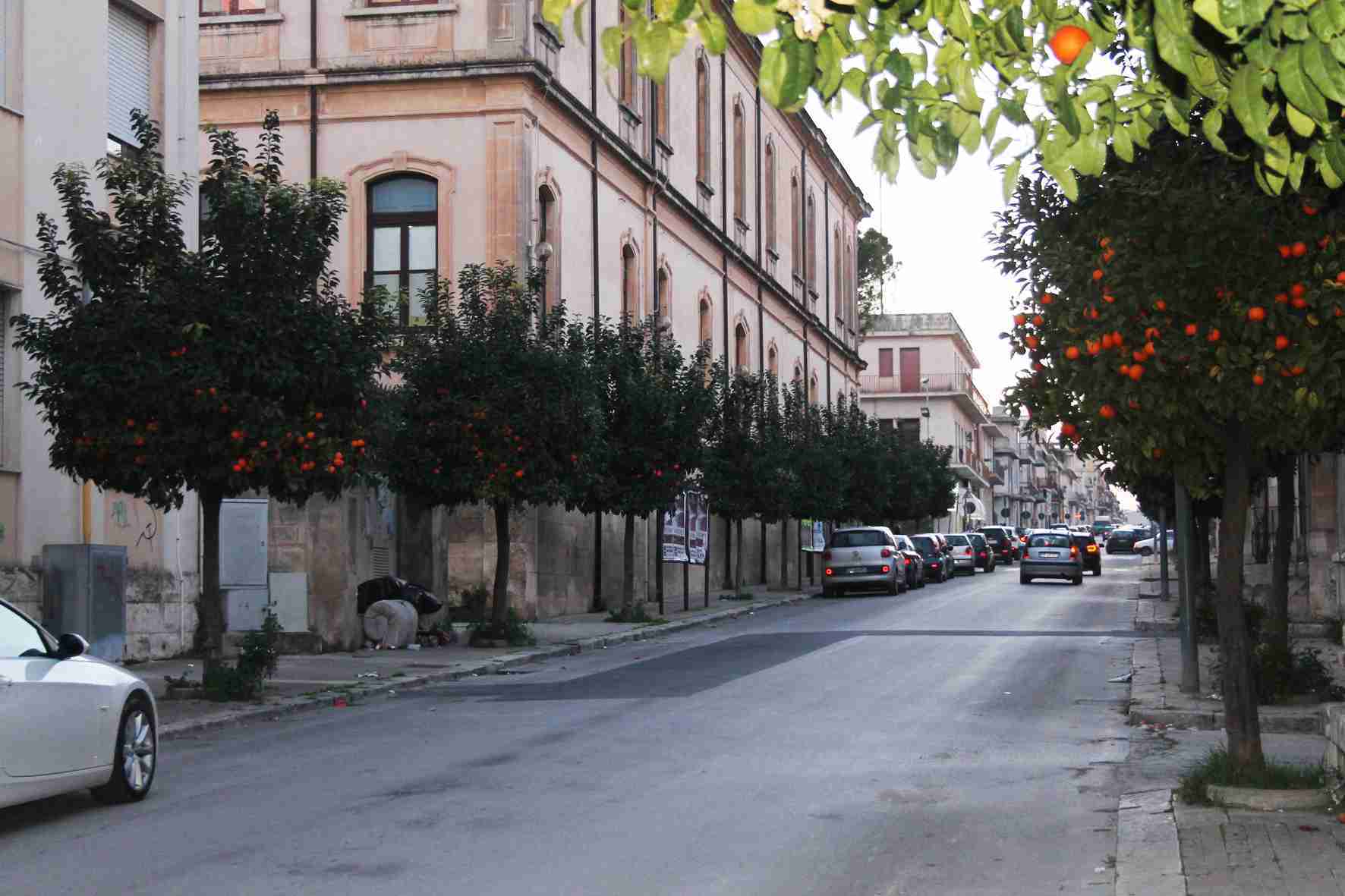 I residenti: “A quando la potatura degli alberi in via Manzoni?”