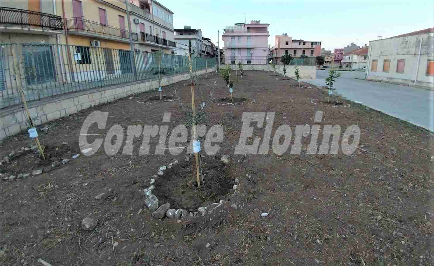S.Domenico Savio: gli Scout Rosolini1 ripristinano gli alberi vandalizzati