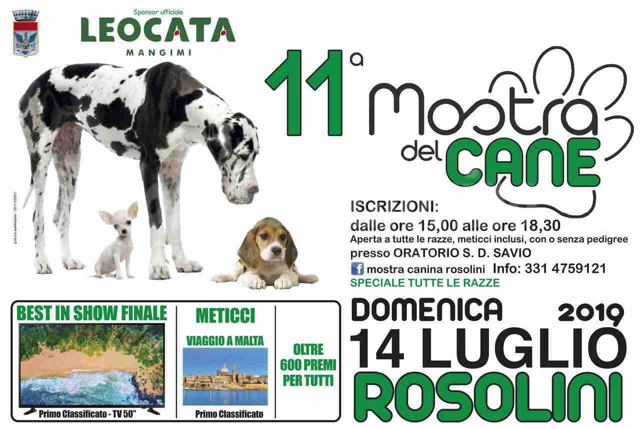 Domenica 14 Luglio “11° Mostra del Cane”