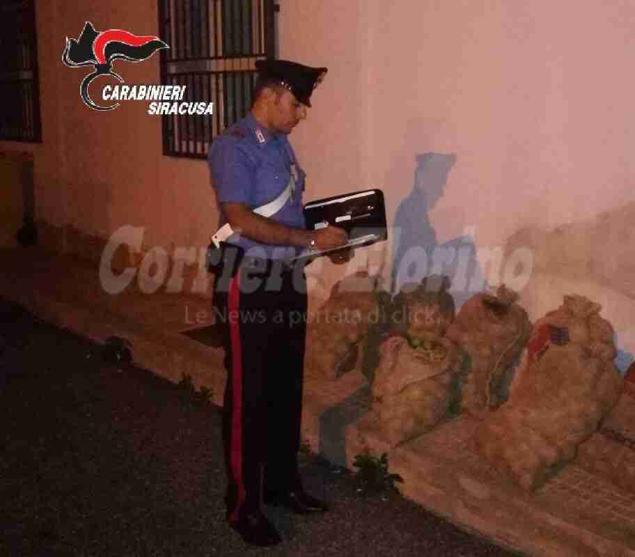 Furto di carrube, arrestati due rosolinesi