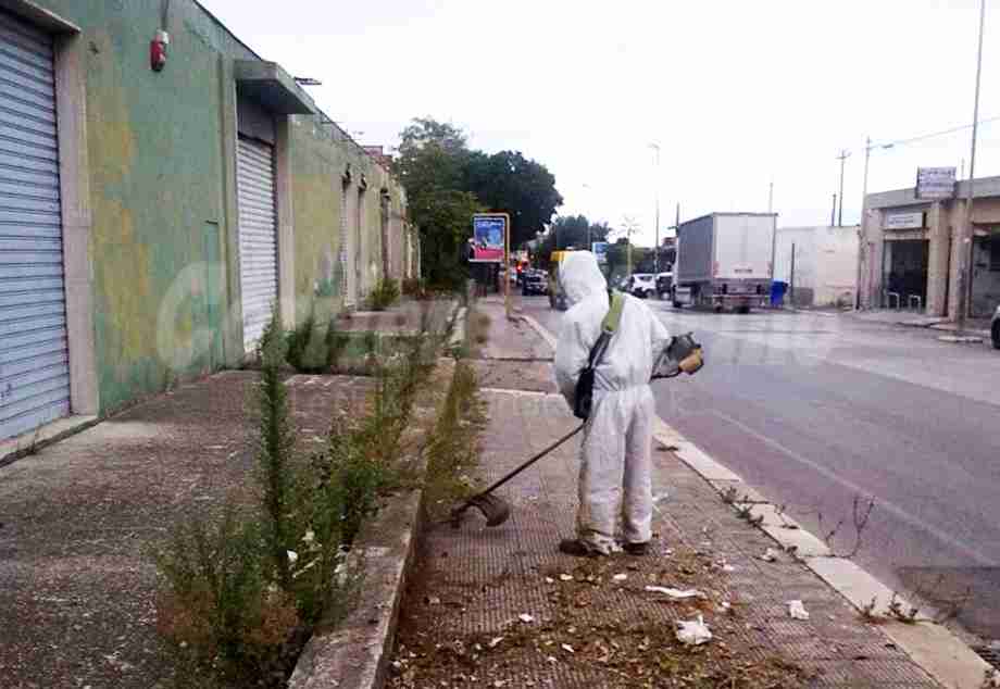 Continuano le attività di diserbo lungo le strade provinciali