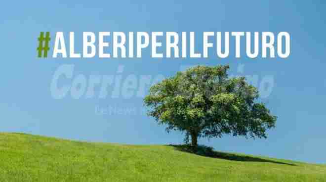 Il Meetup Grilli Elorini promuove “Alberi per il futuro”: domenica l’iniziativa