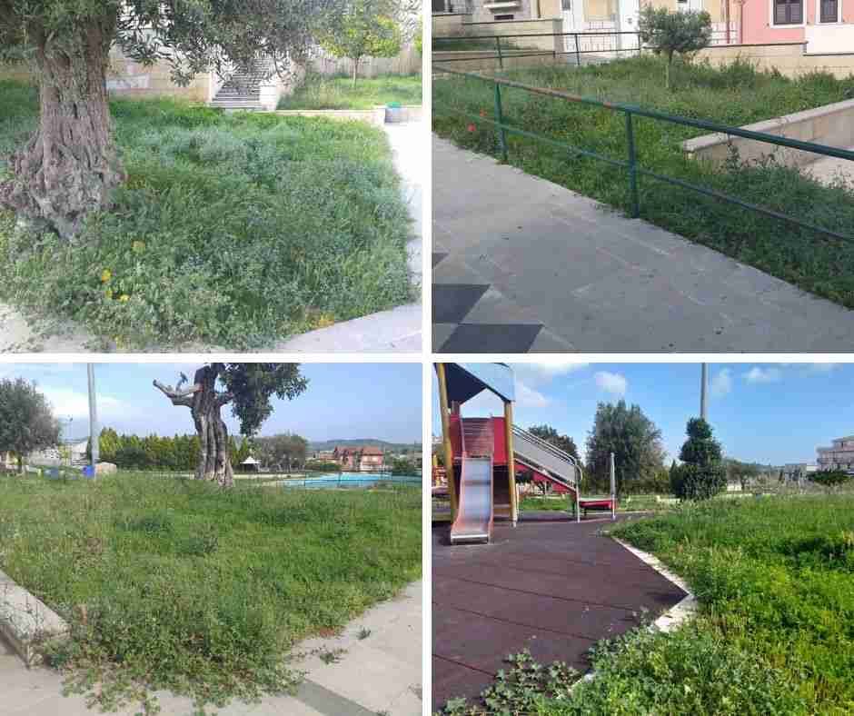 Città Verde: “Verde pubblico in abbandono”. L’Assessore: “presto gli interventi”