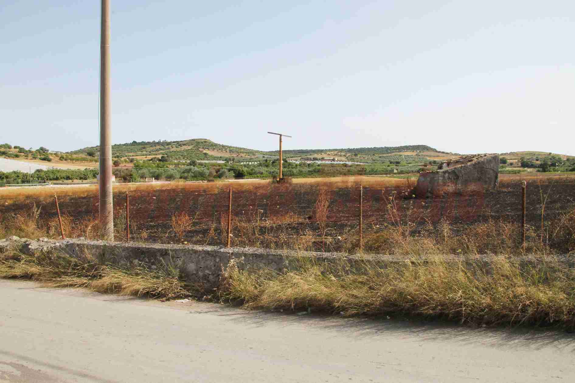 Contrada Codalupo, incendio distrugge 30 mila metri quadri di campo coltivato a grano