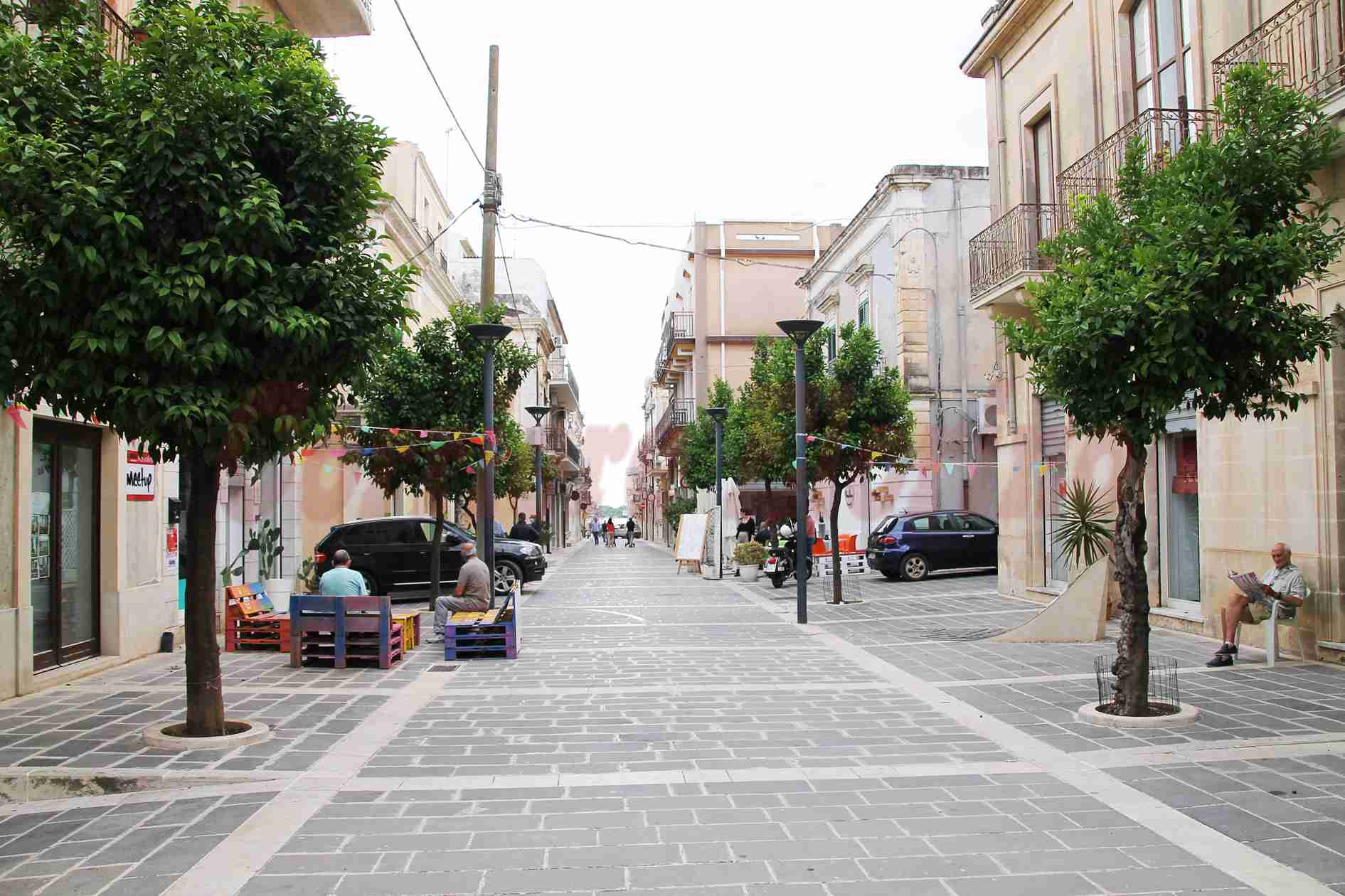 Città Verde non si ferma più: “Ripuliremo gratuitamente le piante di piazza Faustino Maltese”