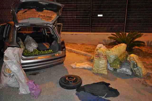 Avola, tre catanesi rubano 900 kg di limoni; sorpresi e arrestati dalla Polizia