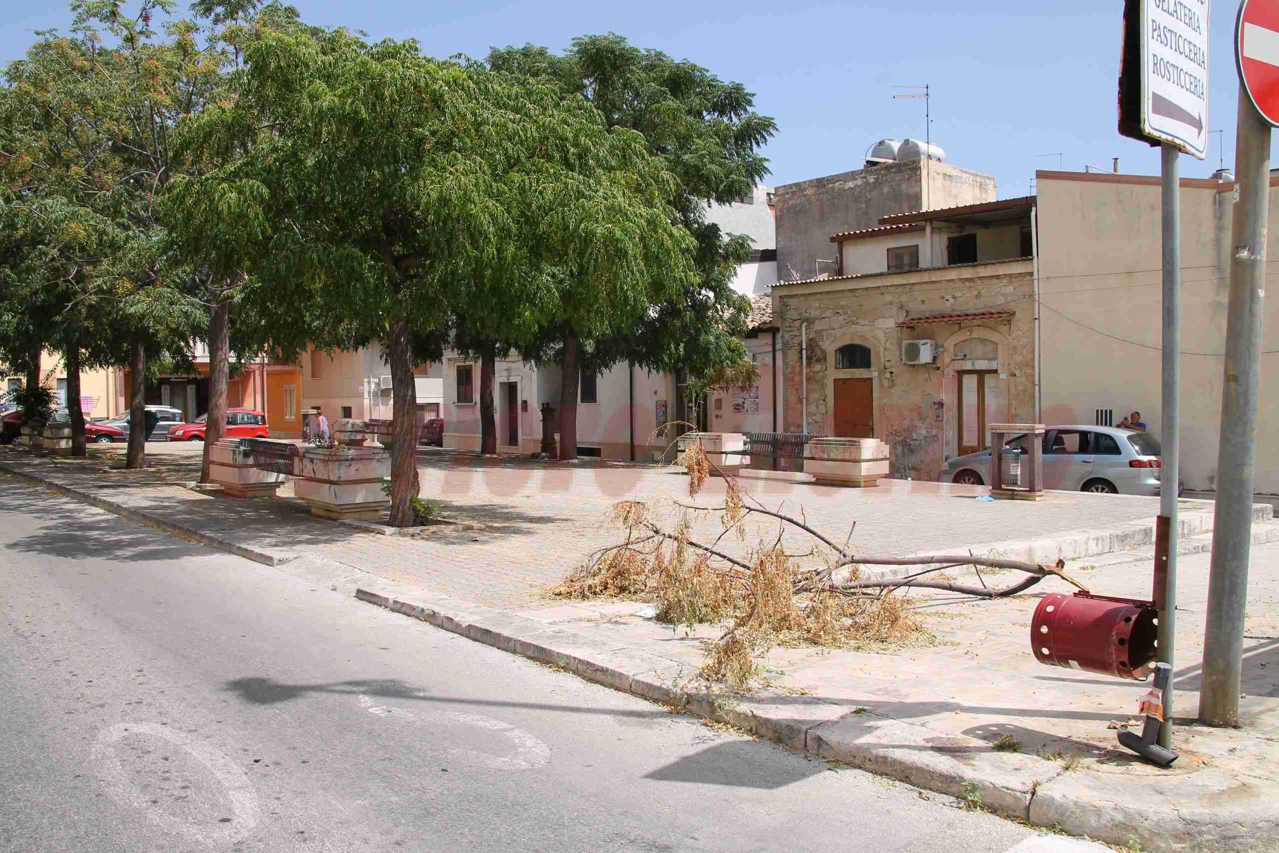 La segnalazione: “Da 20 giorni ramo secco in bella mostra in piazza Carducci”