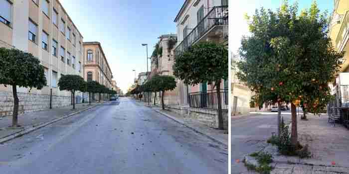 Torna il decoro in Via Manzoni, completa la potatura degli alberi