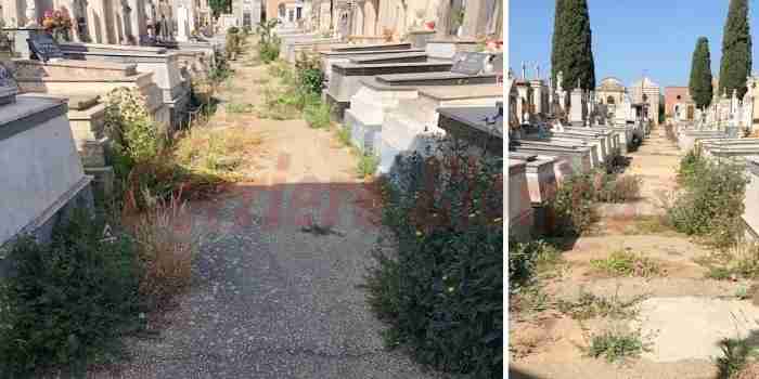 Inizia oggi il diserbamento del Cimitero Comunale