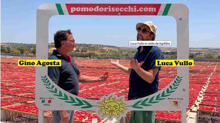 “Come ti sembrano questi pomodorini?” “Na bumma!”, Luca Vullo in visita da Agriblea
